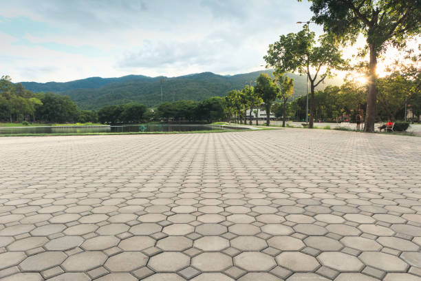Best Local Driveway Pavers  in Jones Valley, CA
